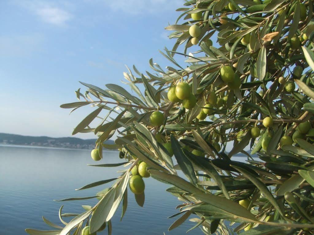 Nefes Hotel Ayvalik Luaran gambar